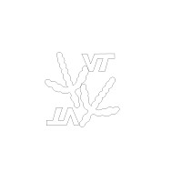 vt turkey tracks block 001